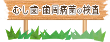 むし歯・歯周病菌の検査