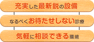 ・充実した最新鋭の設備、・なるべくお待たせしない診療、・気軽に相談できる環境